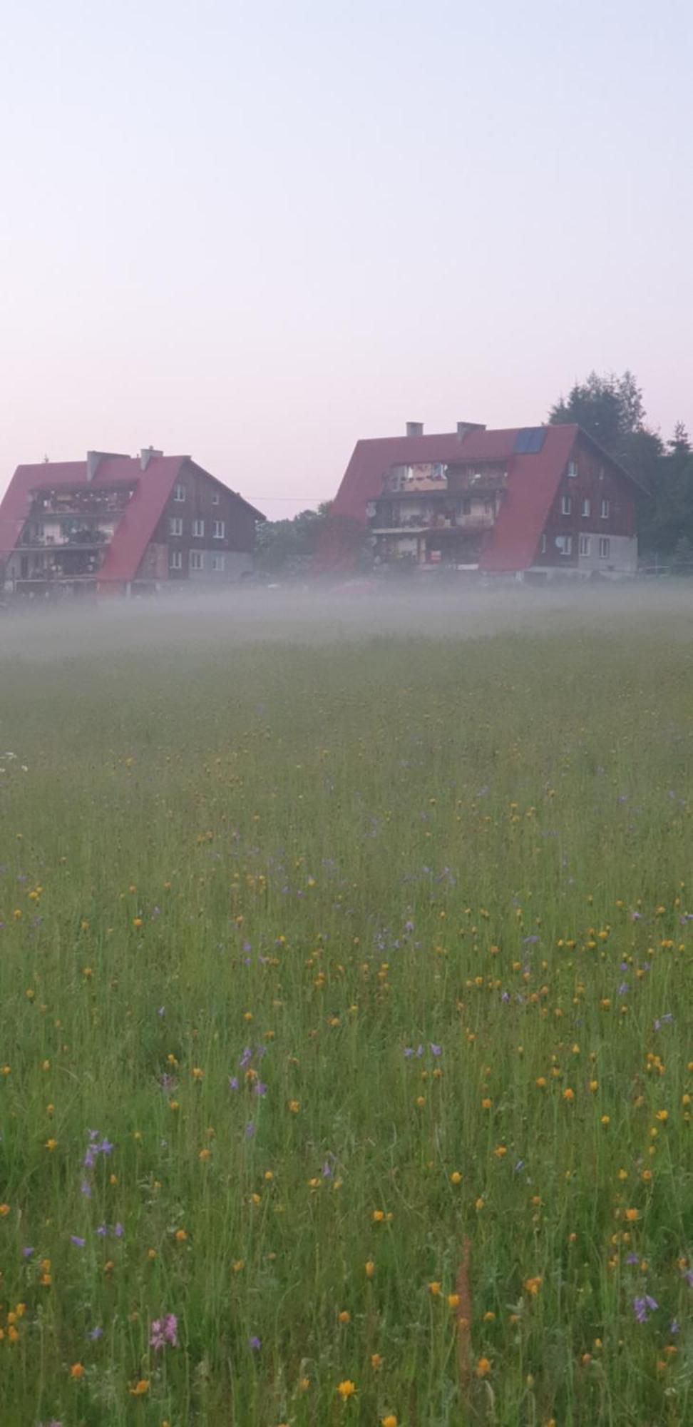 Apartament Wrzos Bieszczady Чарна Экстерьер фото